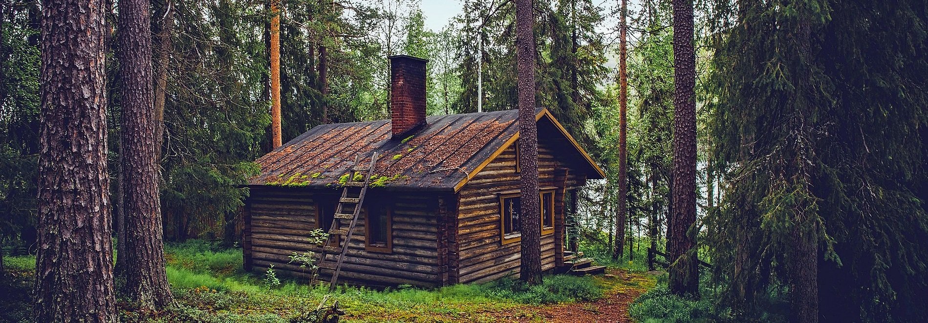 A log cabin in the woods with a lake in the background