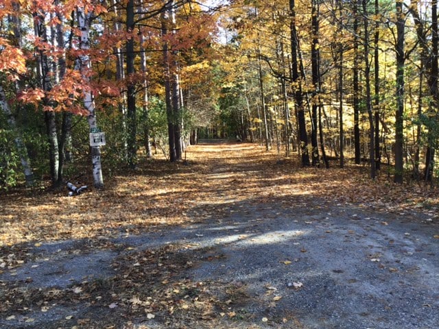 Fall