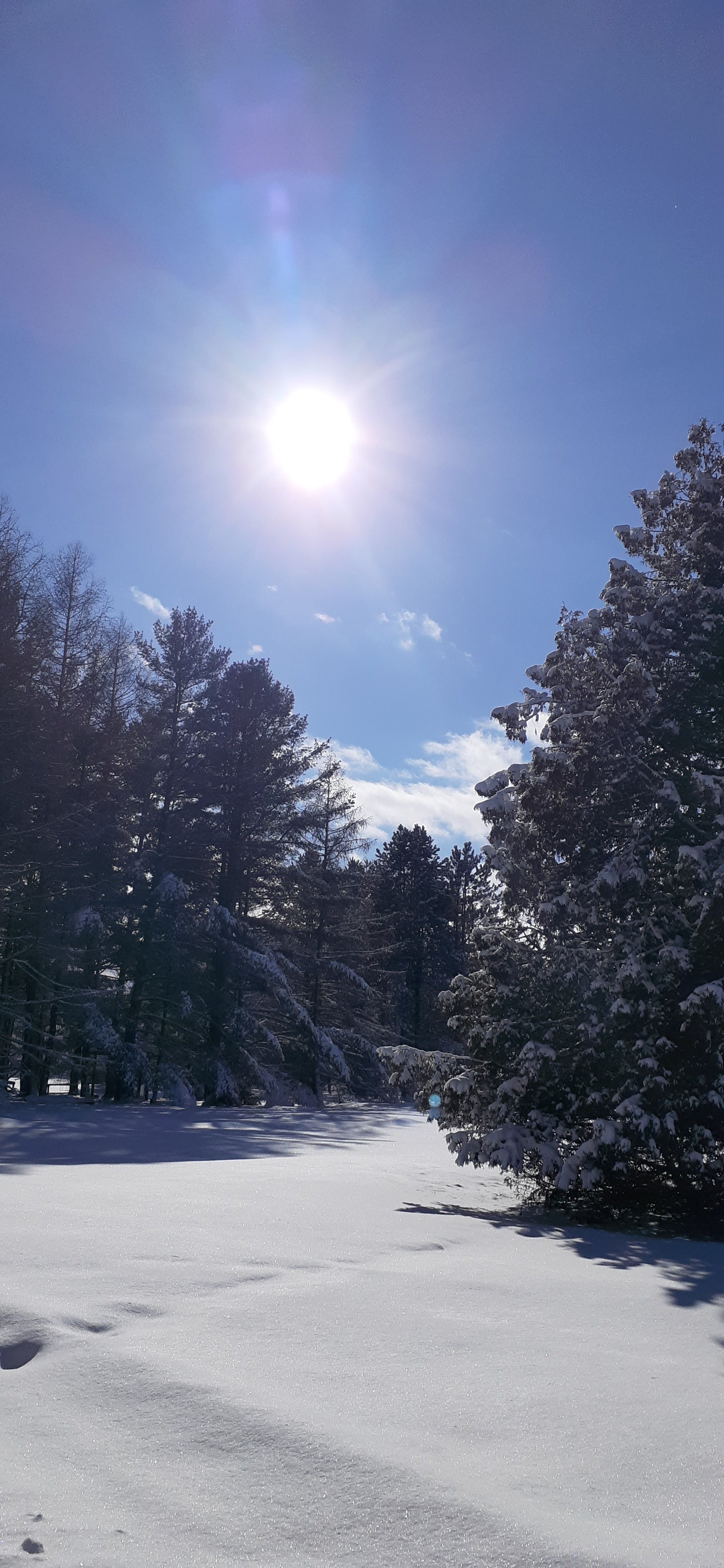 20220218_142659.jpg