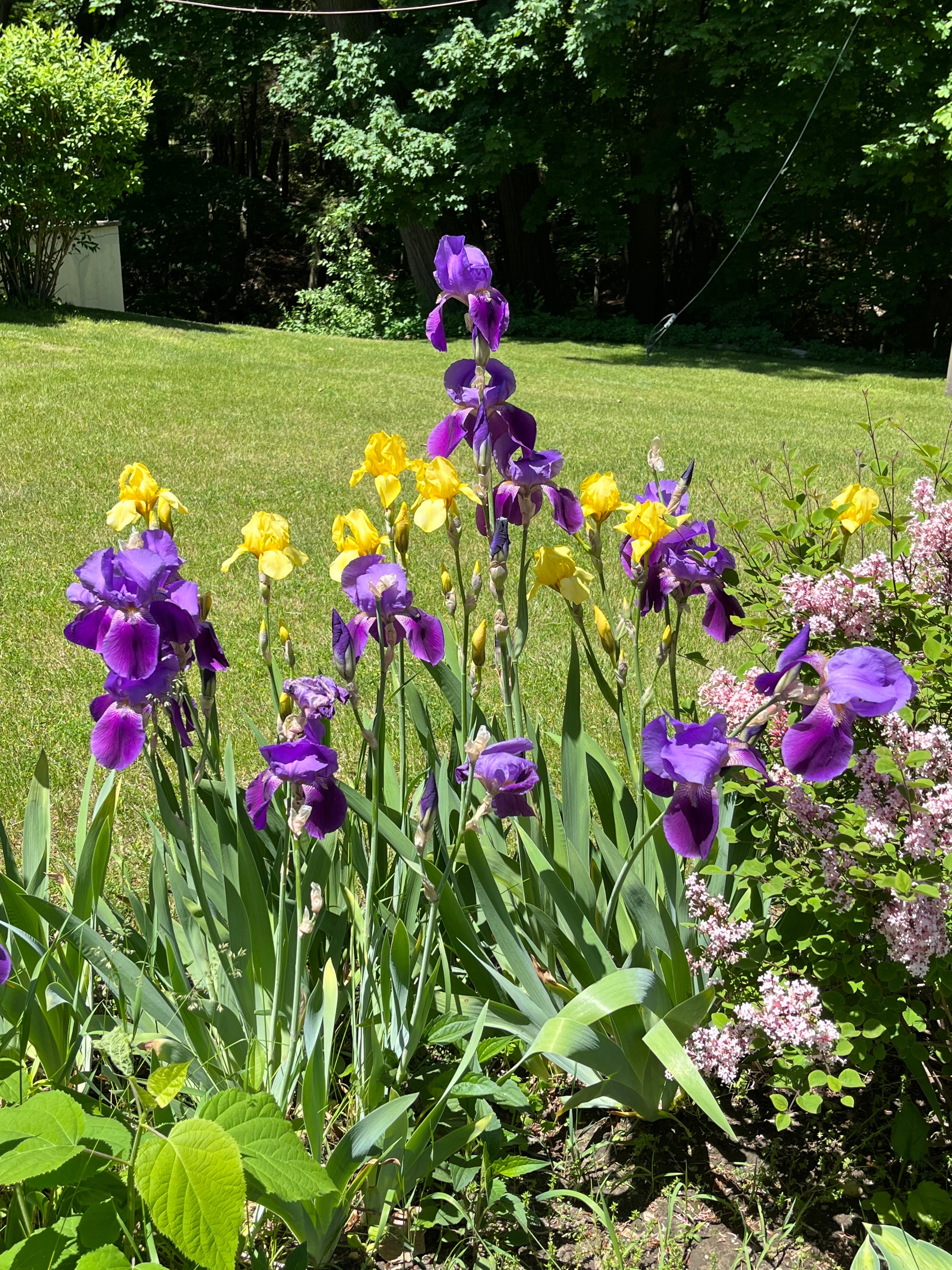 Silent Retreat - Flowers