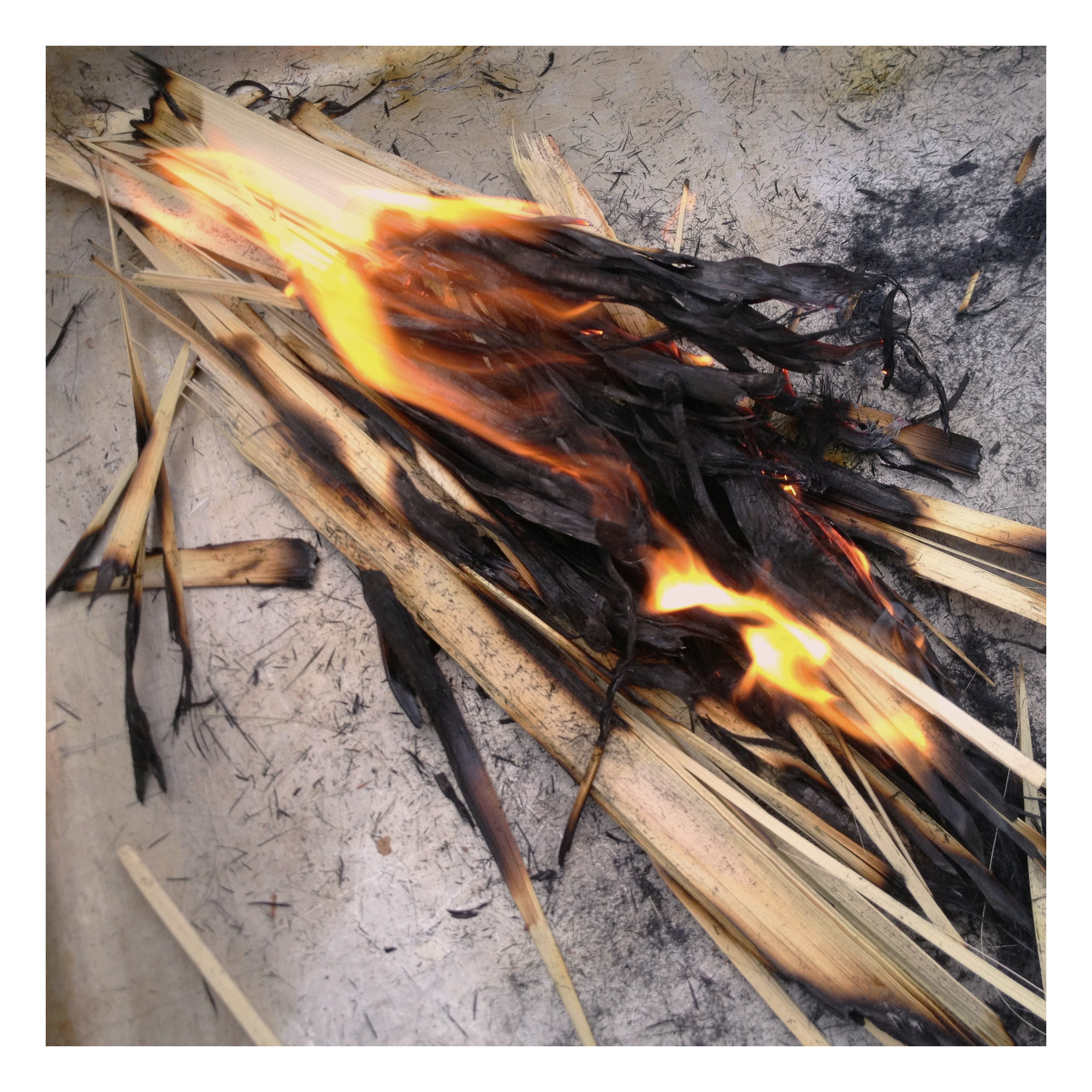 photo of palms being burned to create ashes