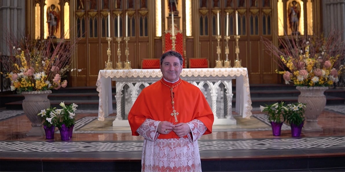 Cardinal Leo