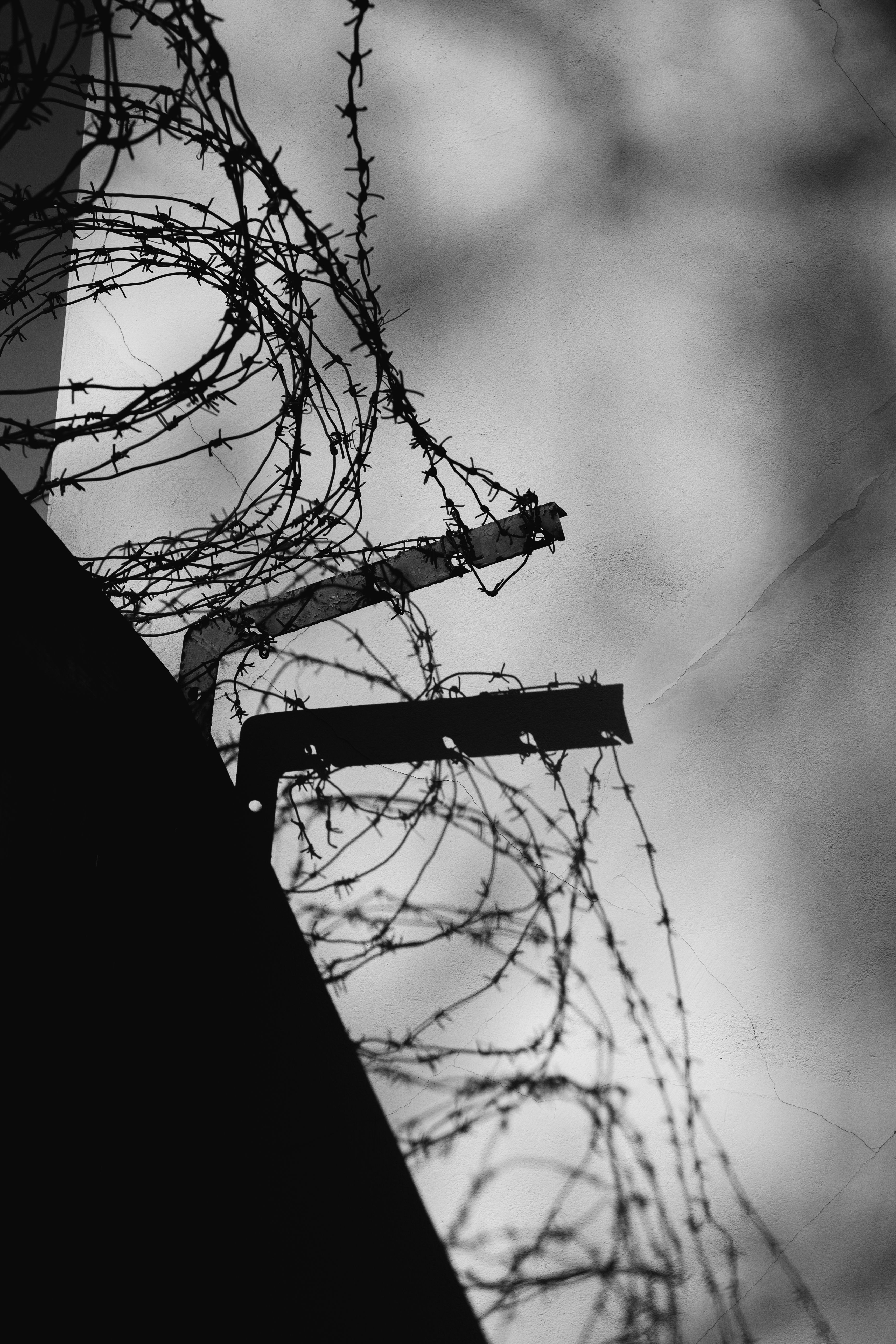 Barbed Wire