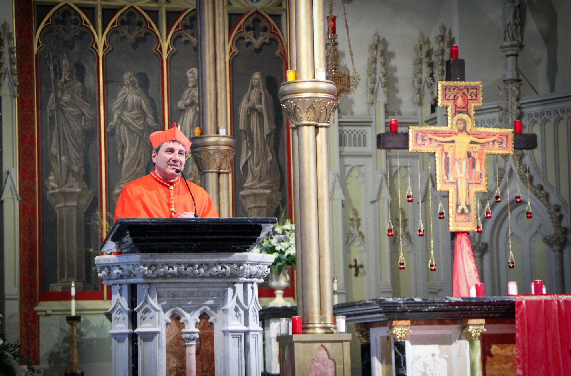 Cardinal Leo Speaking