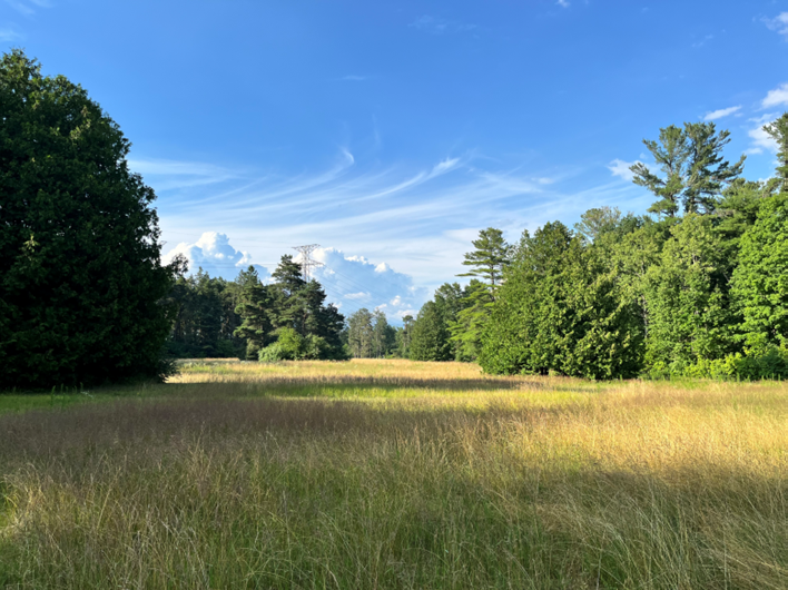 Fields&Sky2025.png