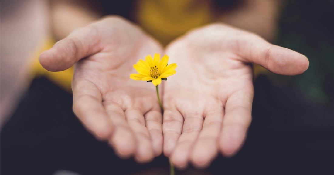 Hands holding flower