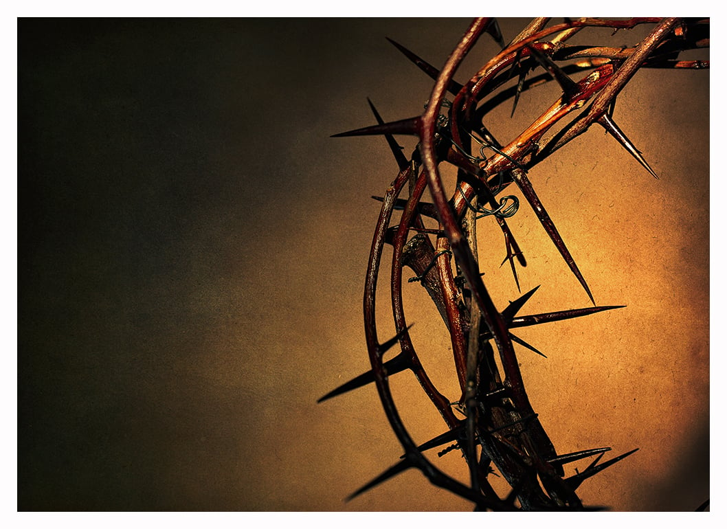 Crown of Thorns Image