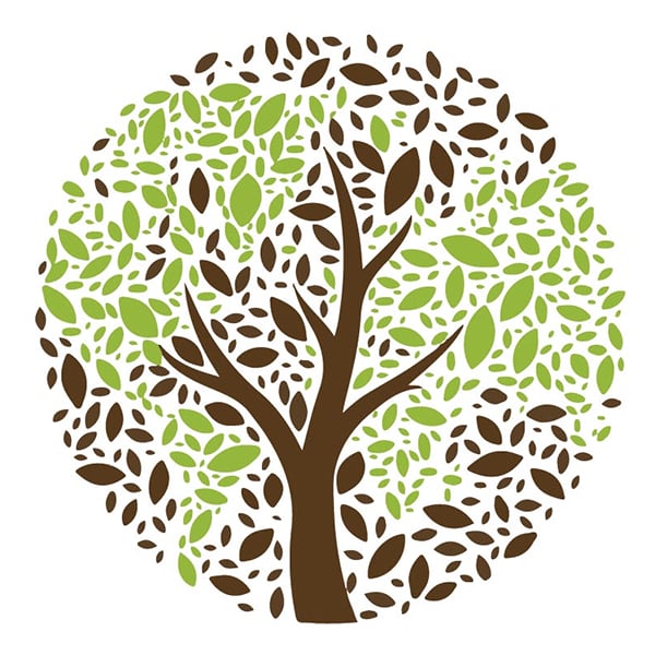 Season of Creation