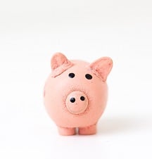 A pink stuffed piggy bank against a white background