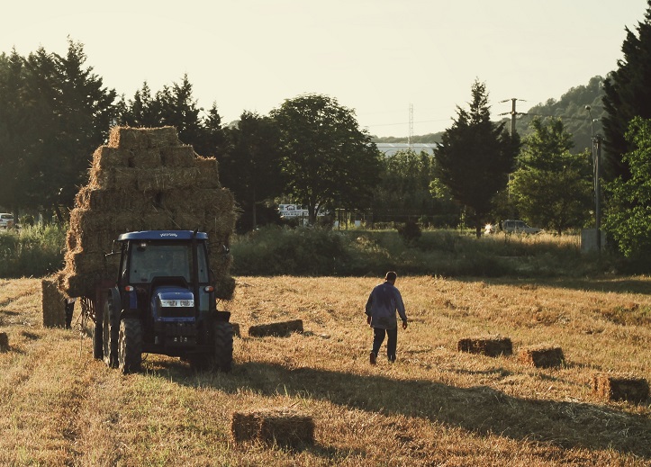 A farmer gathers hay on a tractor in a field