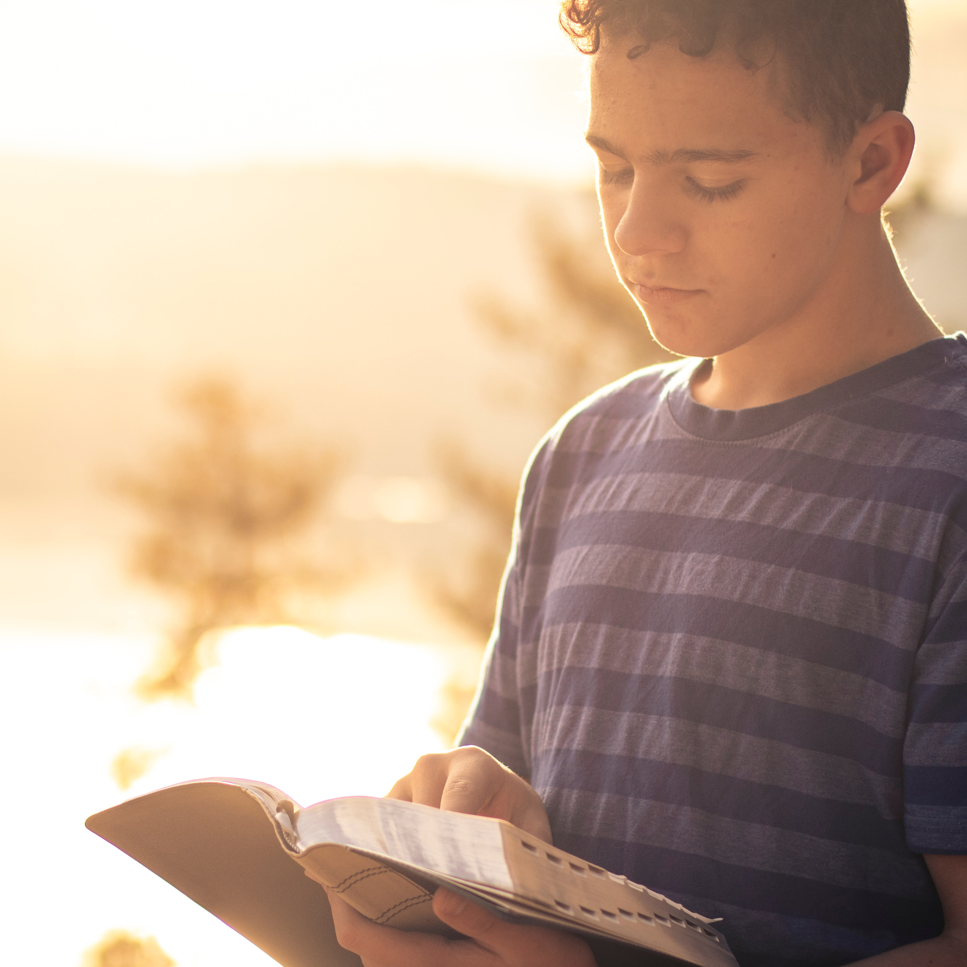 Young Man Reading Bible