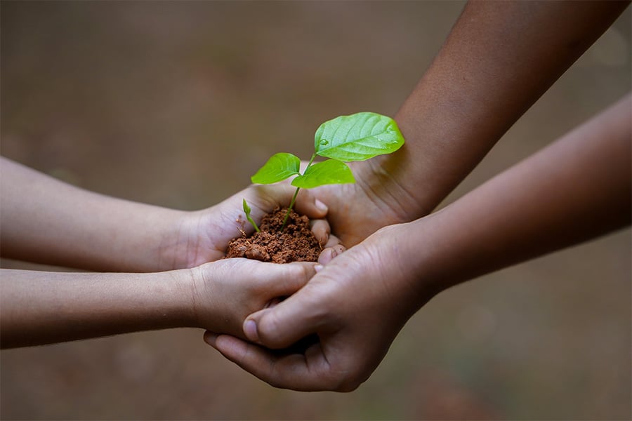 Two people holding plant