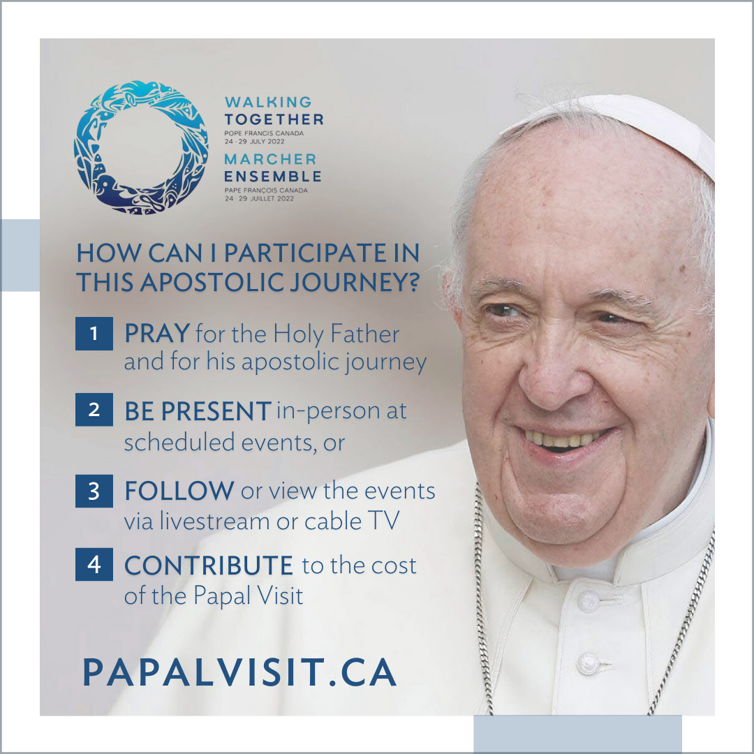 How to contribute to papal visit
