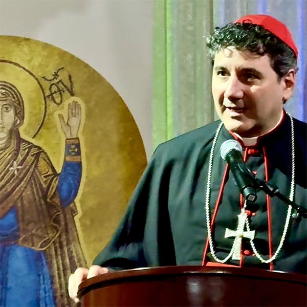 Cardinal Leo Addresses Dinner Guests