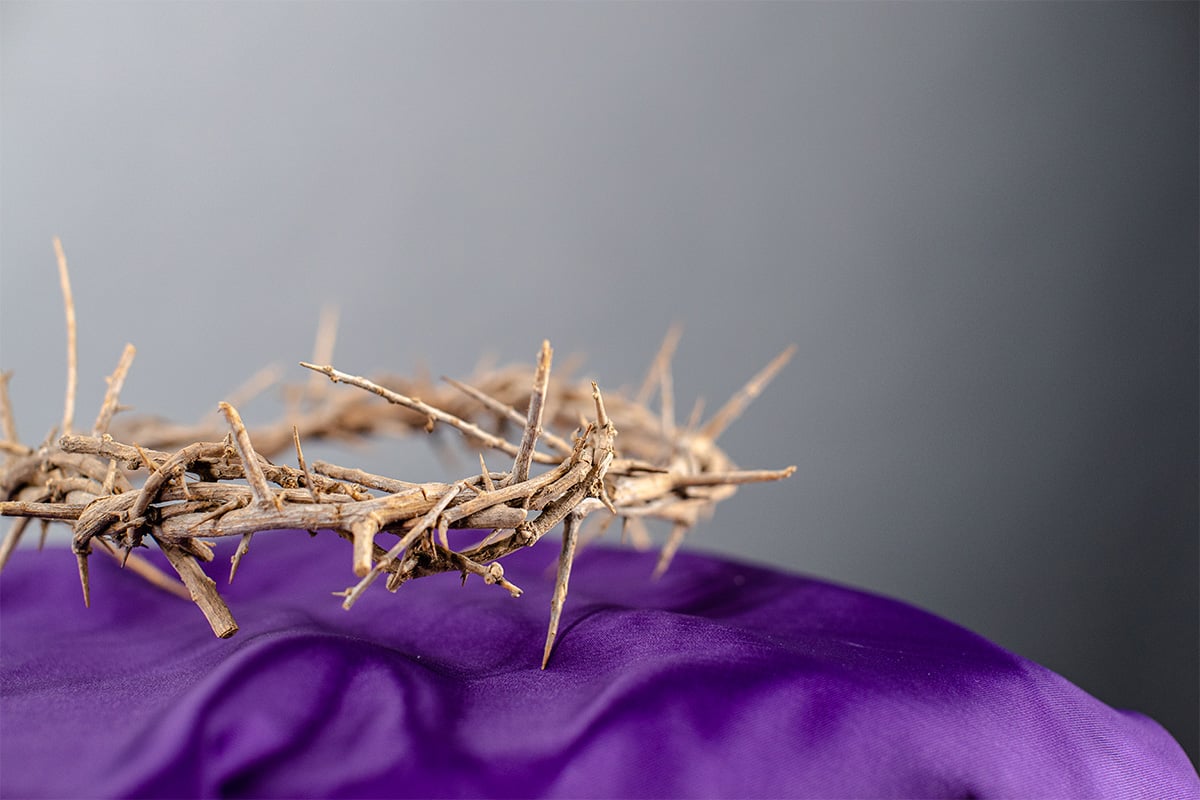 A crown of thorns on purple cloth with a white background