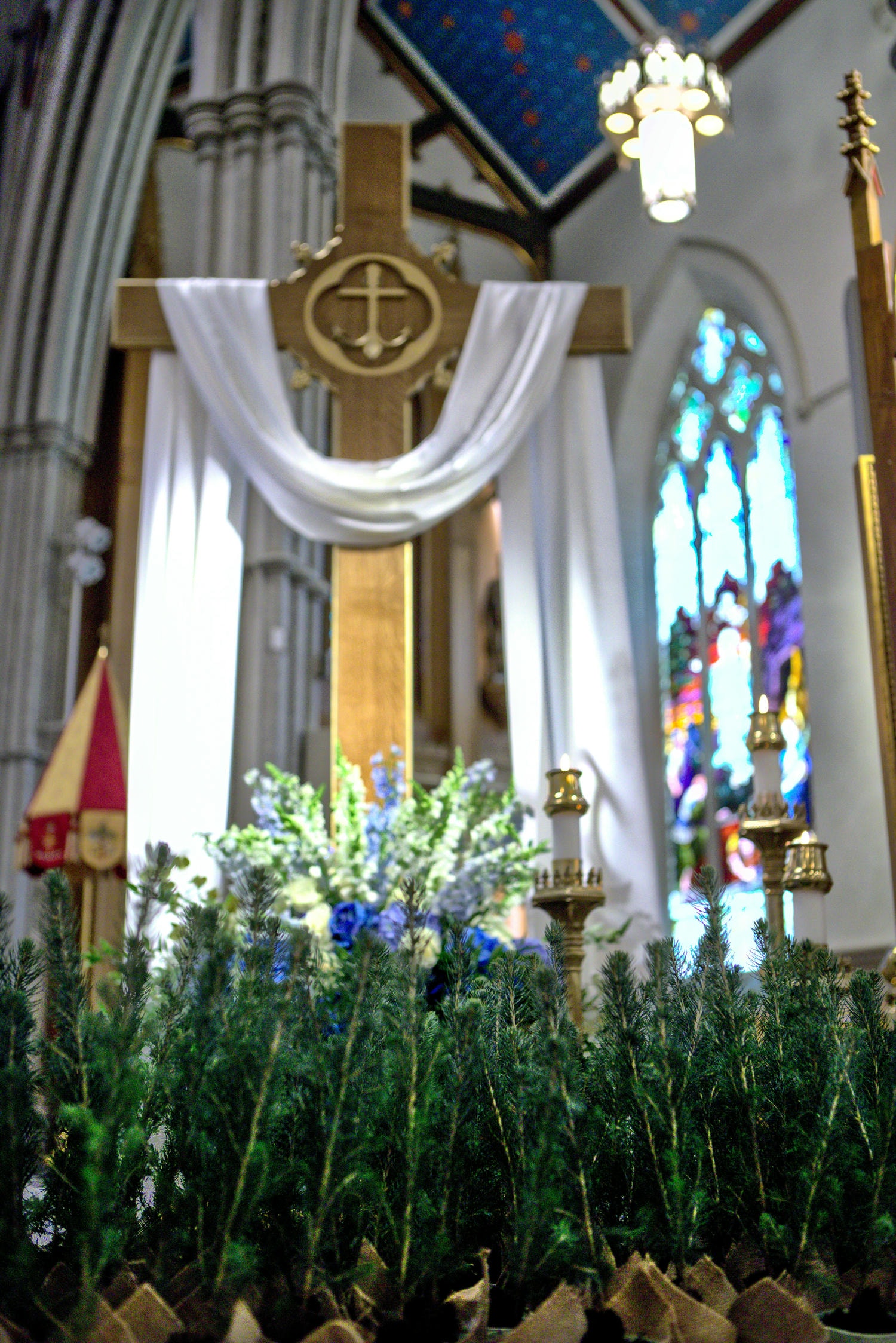 2025 Neophyte Mass