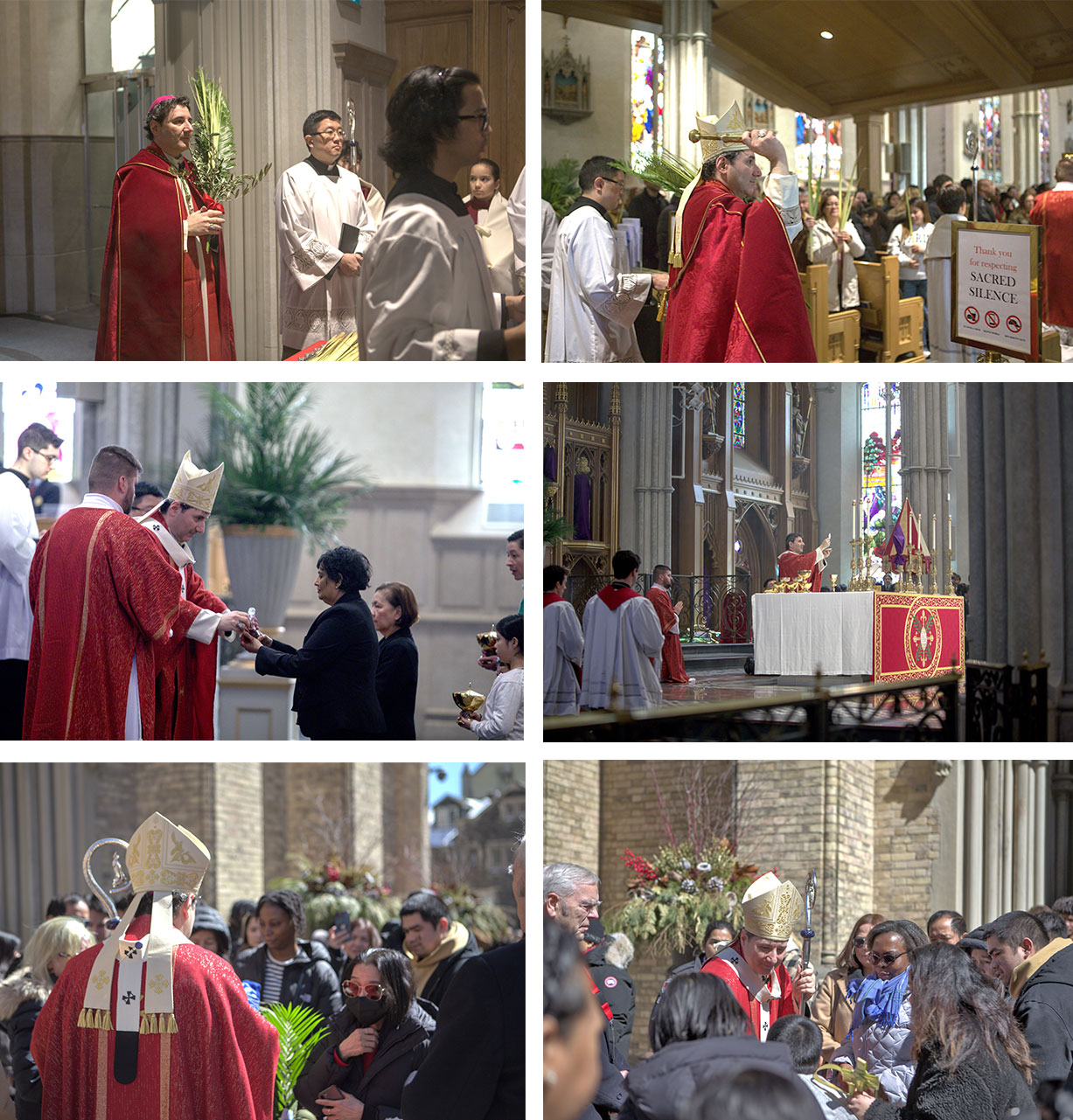 Palm Sunday Collage