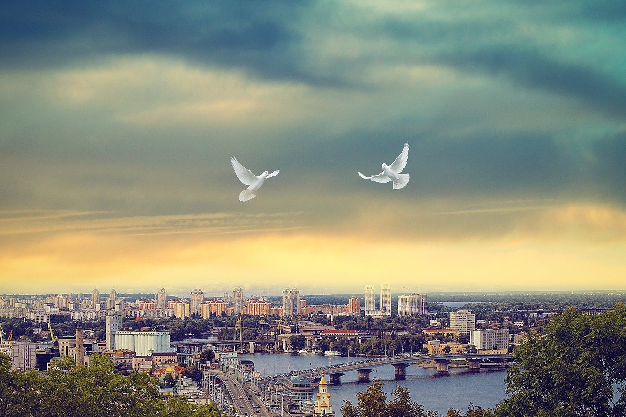 Two doves fly over Kyiv