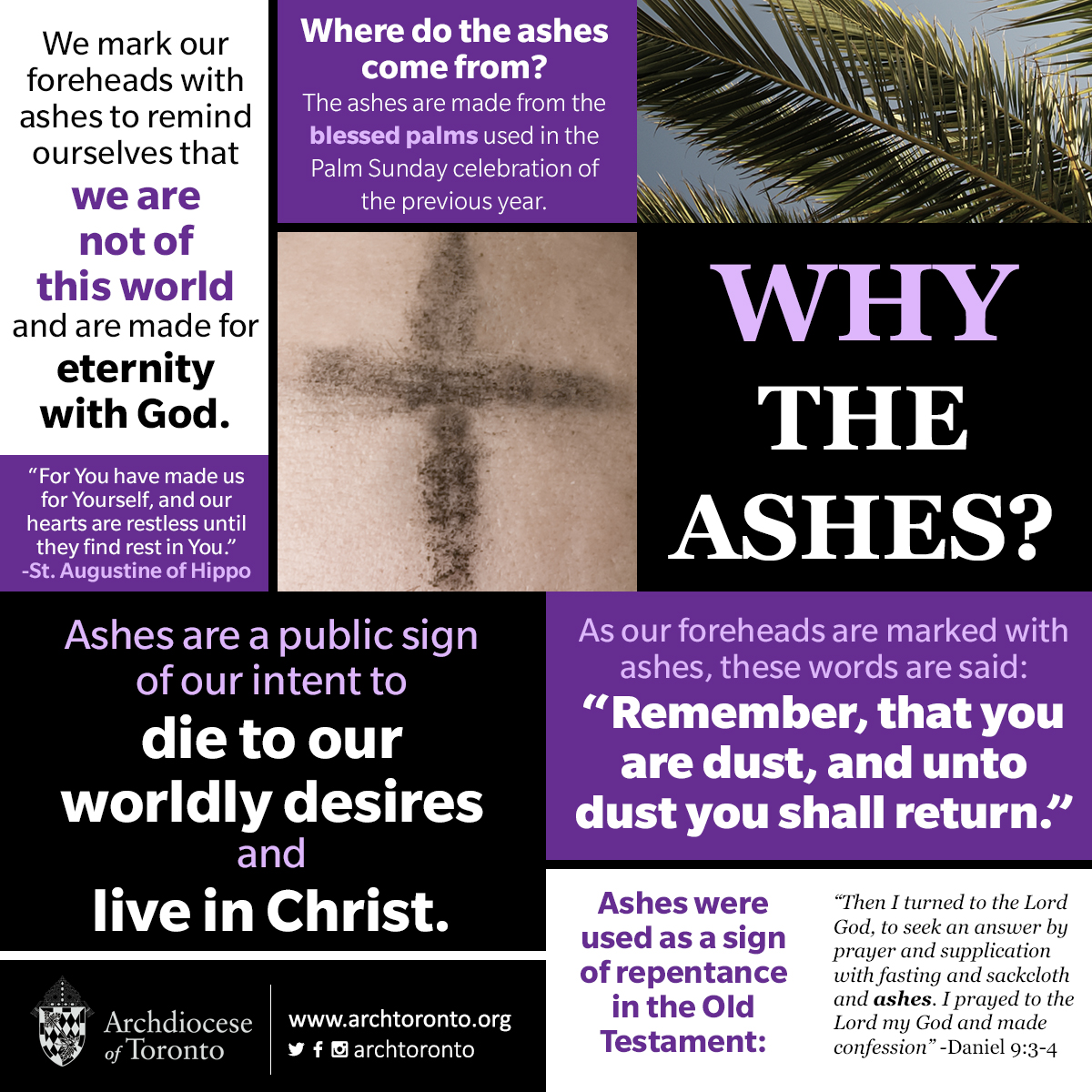 Infographic: Why the ashes?