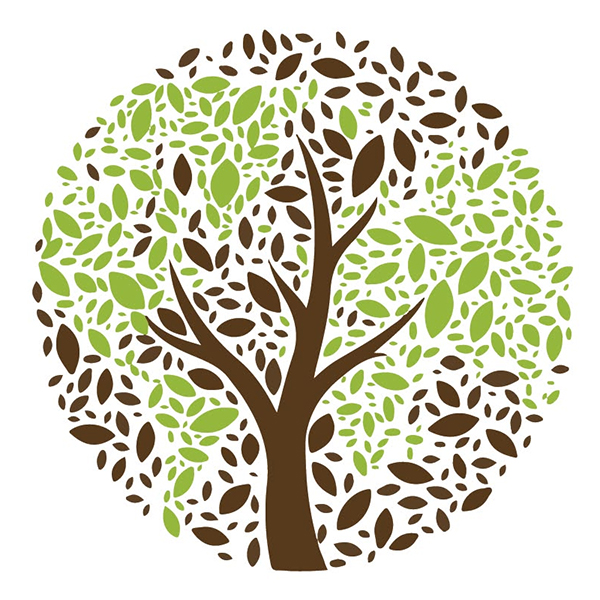 Season of Creation