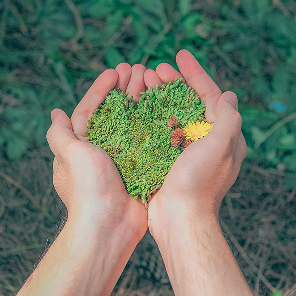 Care for creation