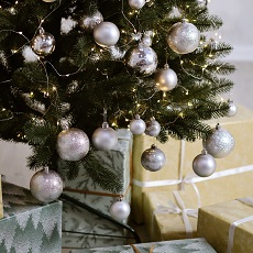 Presents under a decorated Christmas tree