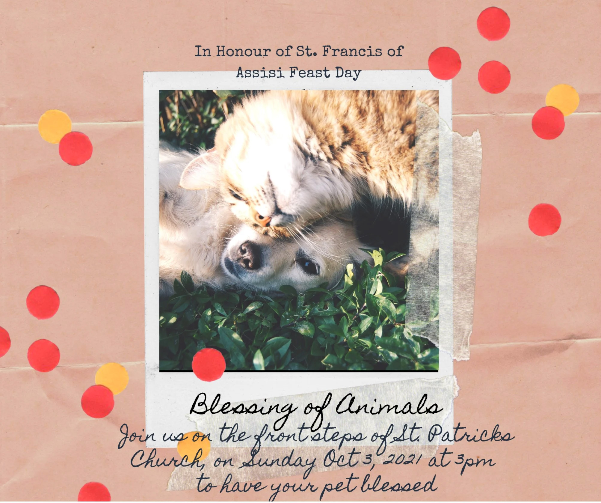 Blessing of Pets at St. Patrick's, Toronto