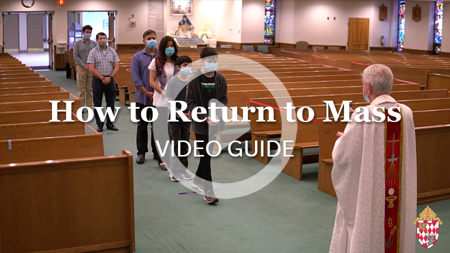 How to Return to Mass Video