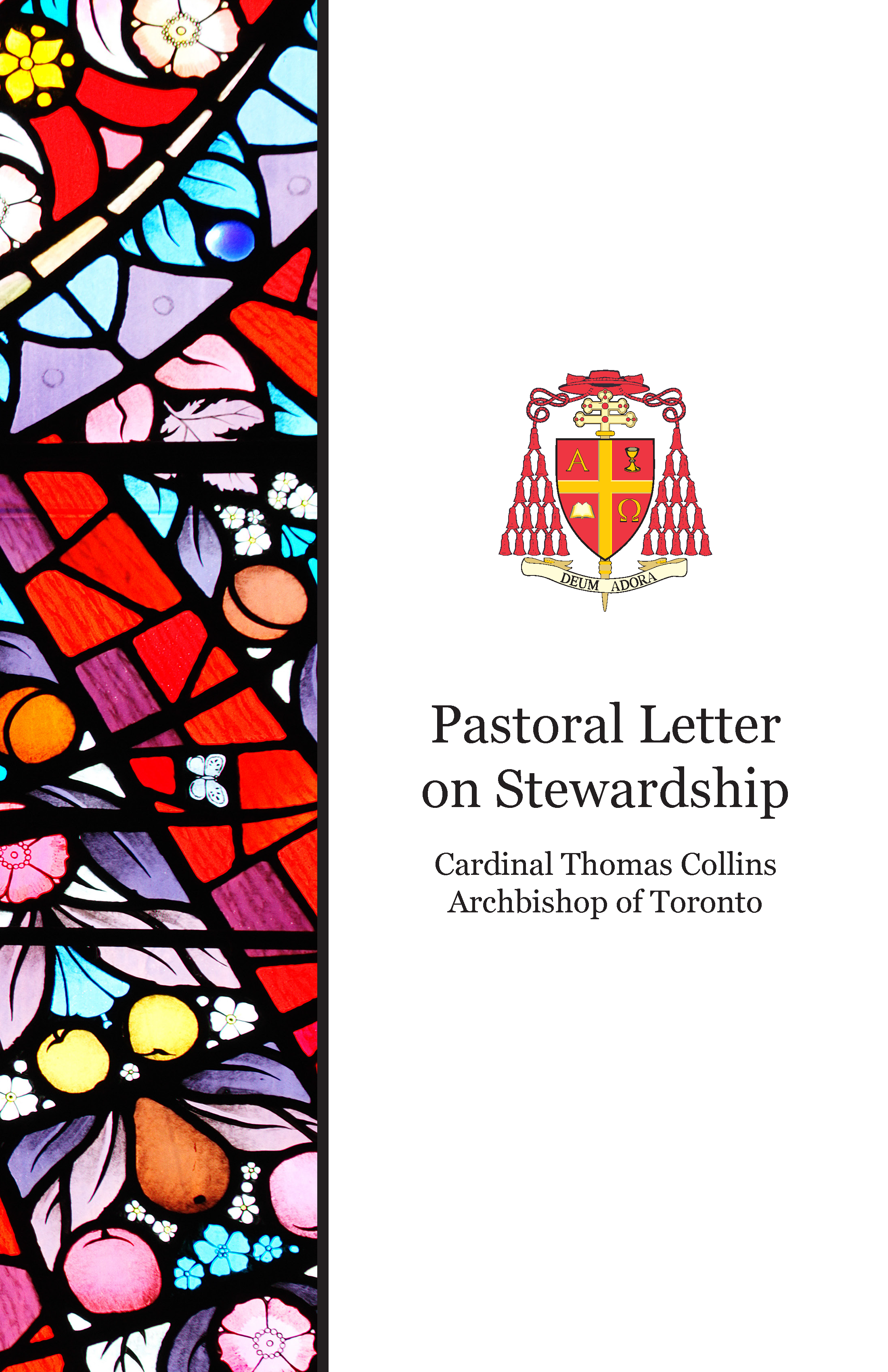 Stewardship Pastoral Letter Booklet cover